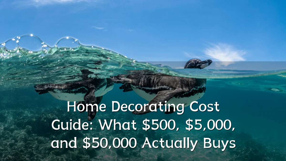 Home Decorating Cost Guide: What $500, $5,000, and $50,000 Actually Buys