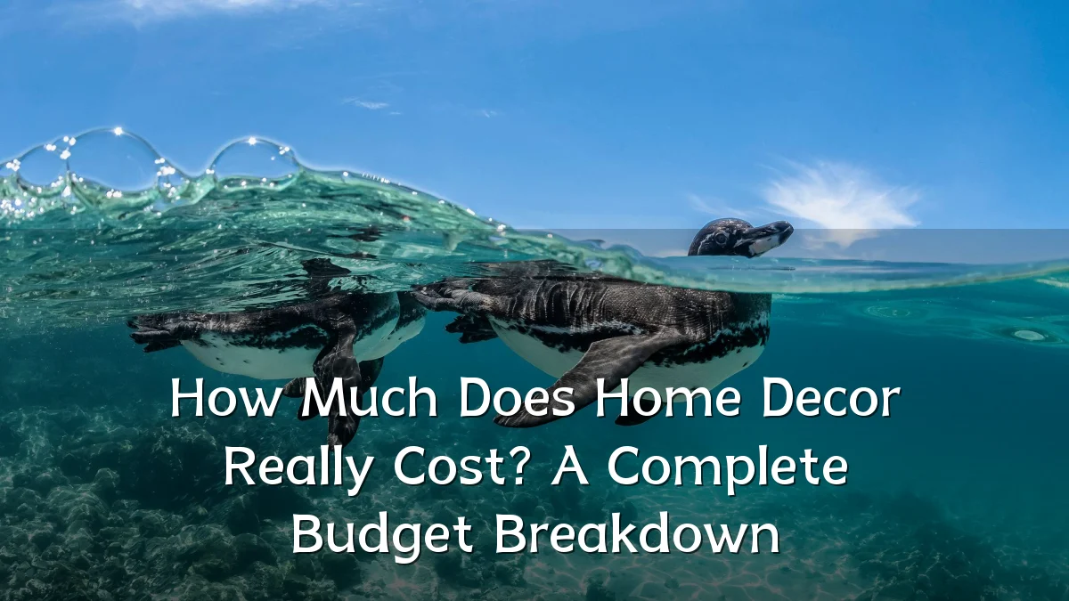 How Much Does Home Decor Really Cost? A Complete Budget Breakdown