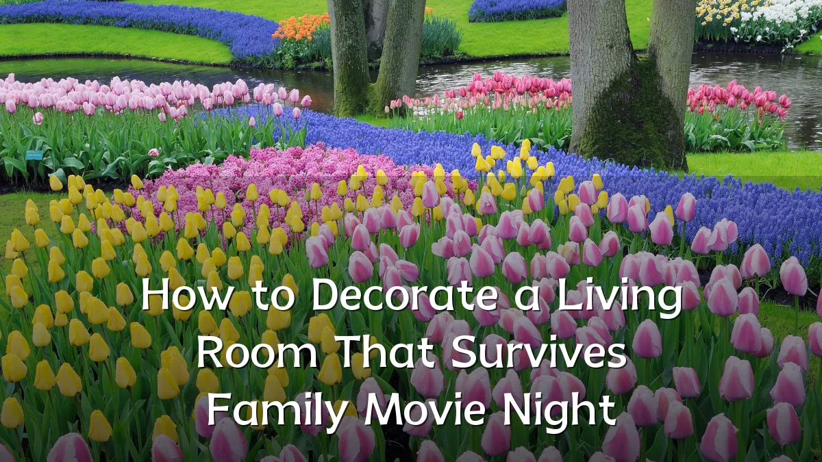 How to Decorate a Living Room That Survives Family Movie Night