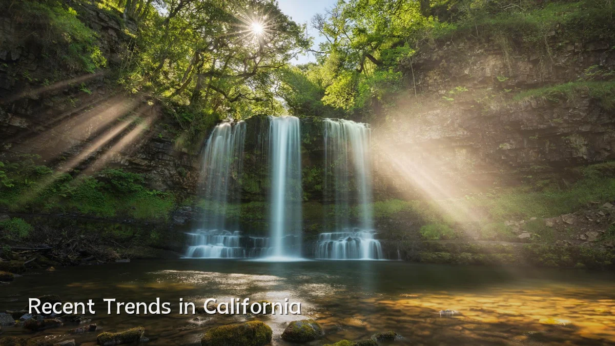 Recent Trends in California