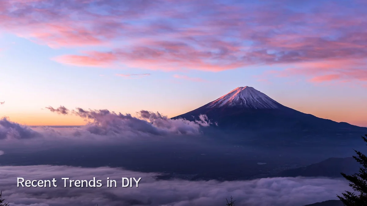 Recent Trends in DIY