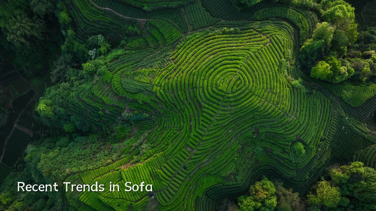 Recent Trends in Sofa