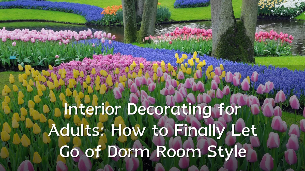 Interior Decorating for Adults: How to Finally Let Go of Dorm Room Style