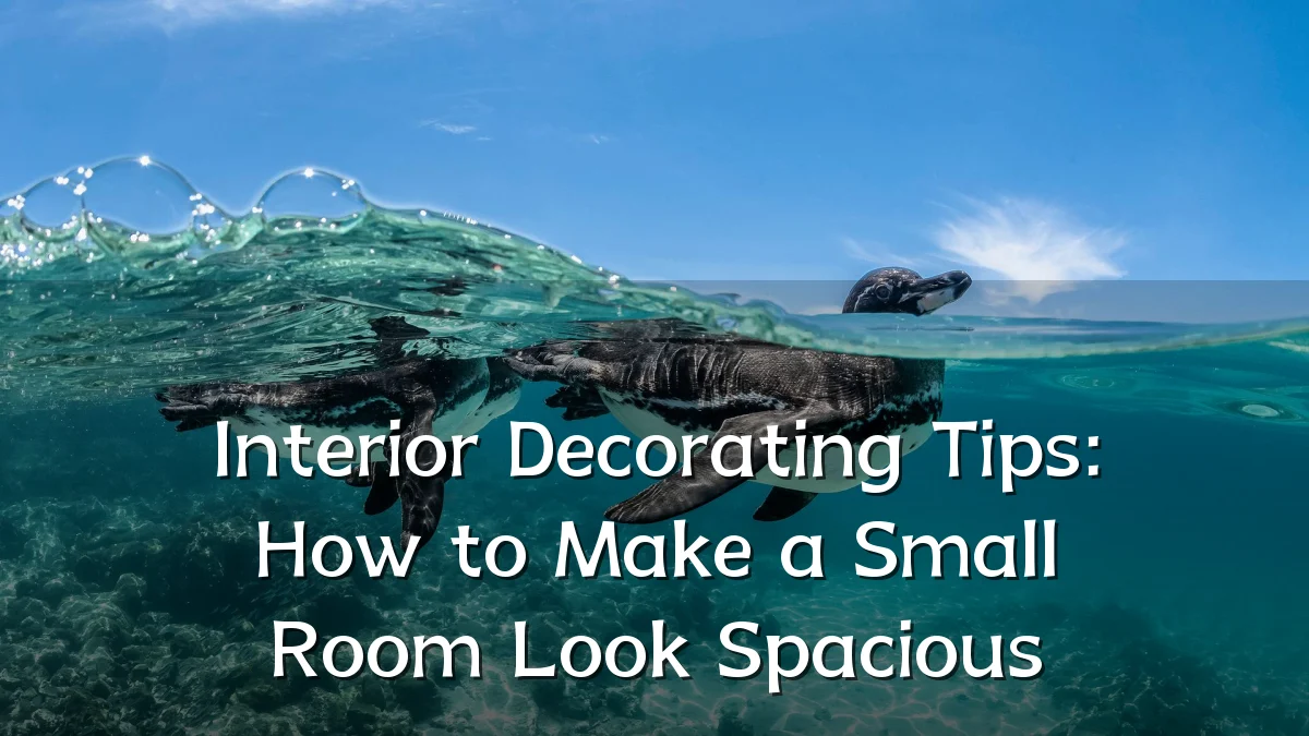 Interior Decorating Tips: How to Make a Small Room Look Spacious