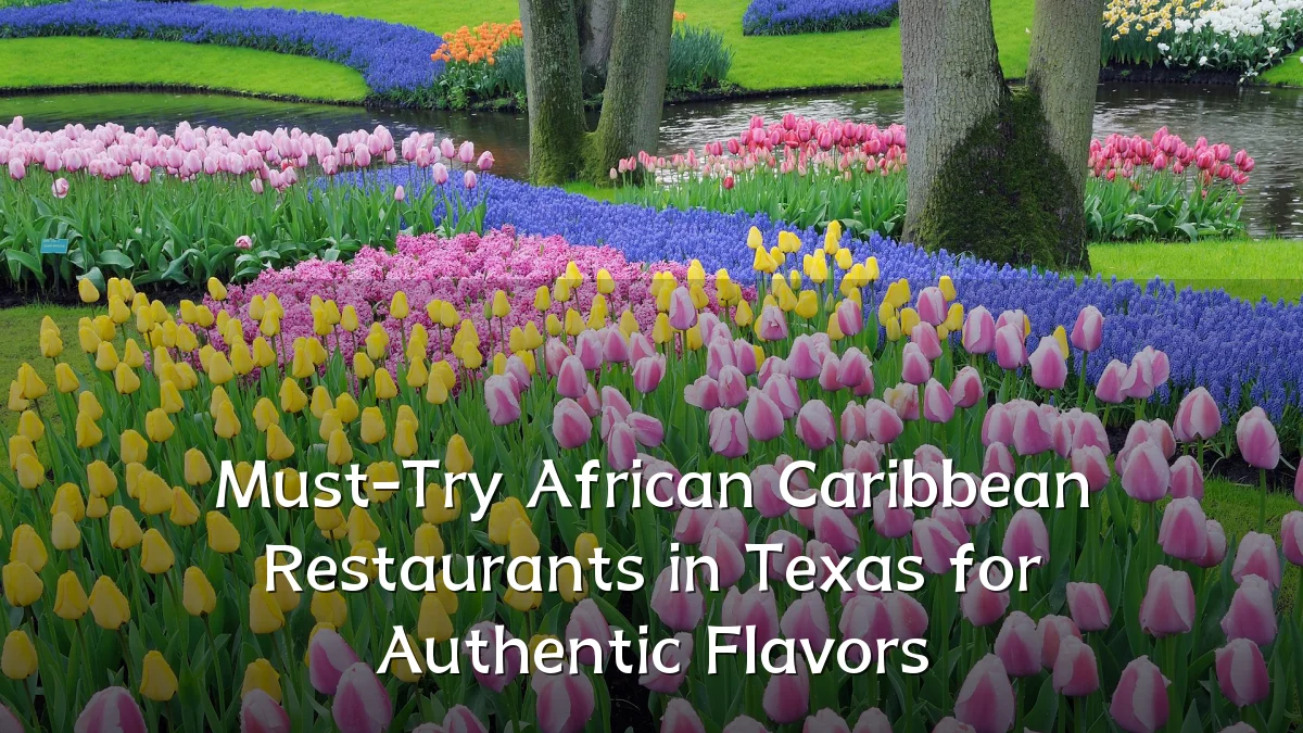 Must-Try African Caribbean Restaurants in Texas for Authentic Flavors