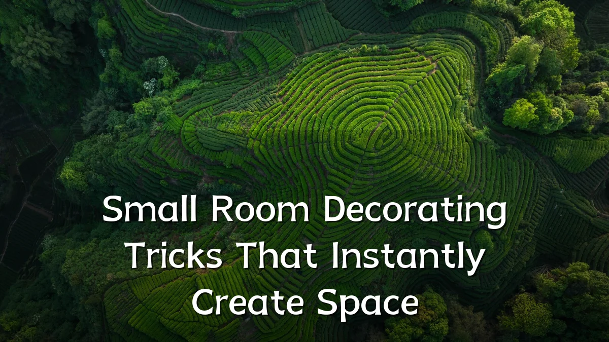 Small Room Decorating Tricks That Instantly Create Space