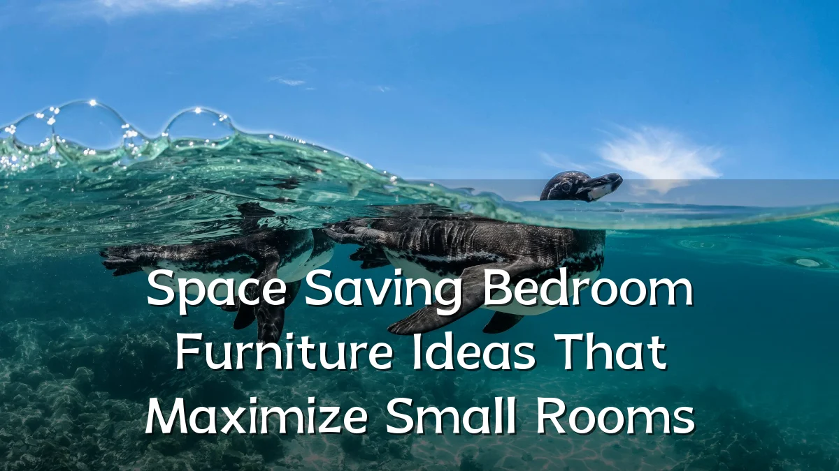 Space Saving Bedroom Furniture Ideas That Maximize Small Rooms