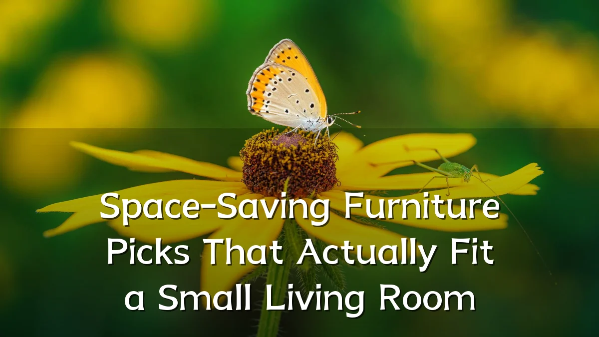 Space-Saving Furniture Picks That Actually Fit a Small Living Room