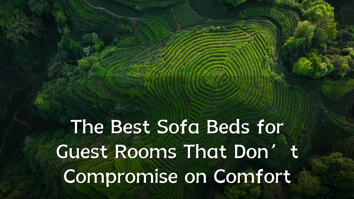 The Best Sofa Beds for Guest Rooms That Don’t Compromise on Comfort