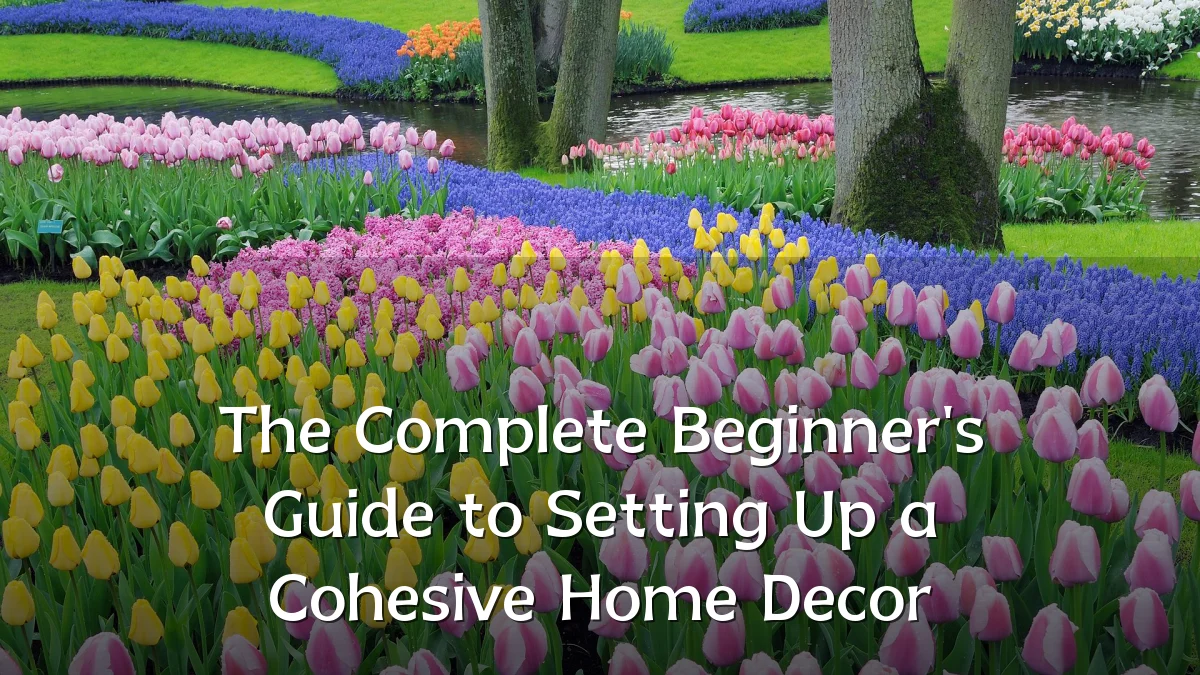 The Complete Beginner's Guide to Setting Up a Cohesive Home Decor