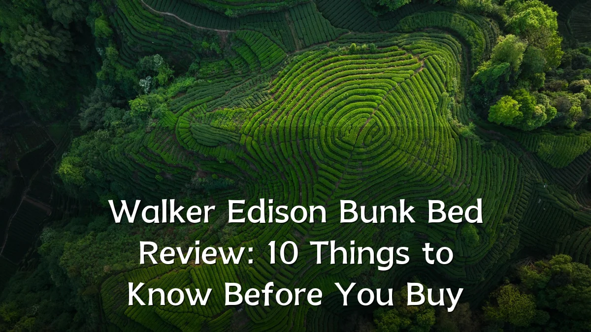 Walker Edison Bunk Bed Review: 10 Things to Know Before You Buy