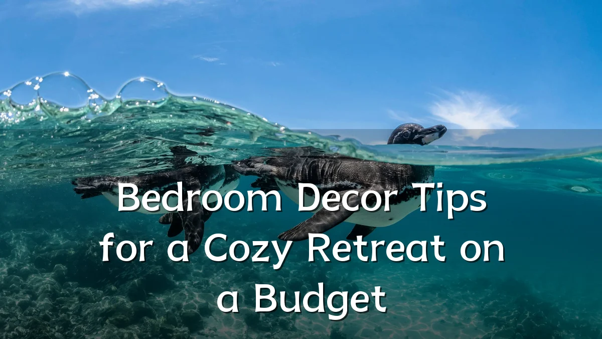 Bedroom Decor Tips for a Cozy Retreat on a Budget