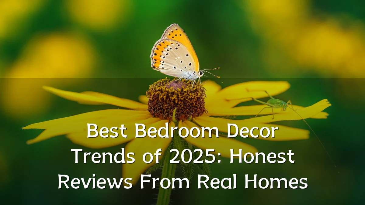Best Bedroom Decor Trends of 2025: Honest Reviews From Real Homes