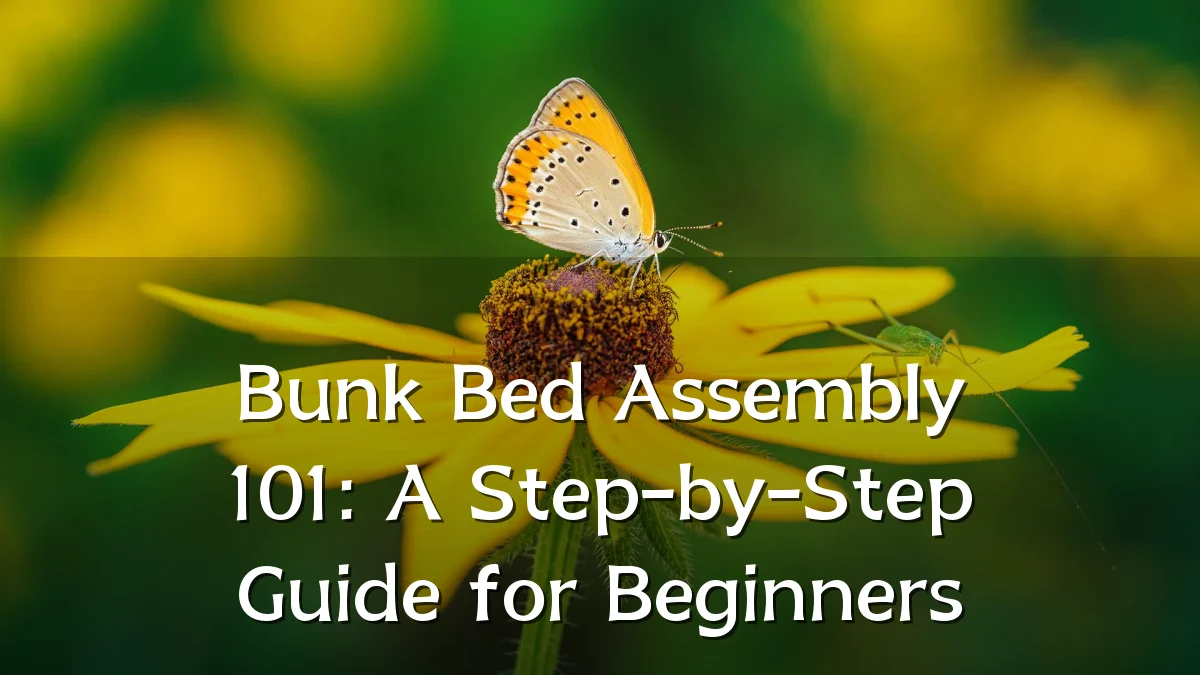 Bunk Bed Assembly 101: A Step-by-Step Guide for Beginners