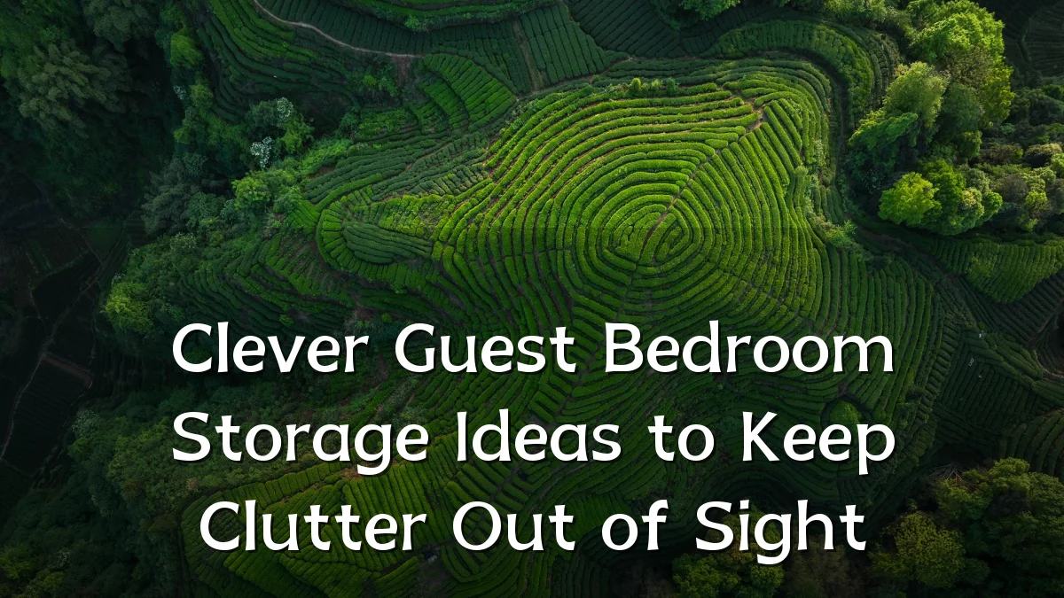 Clever Guest Bedroom Storage Ideas to Keep Clutter Out of Sight