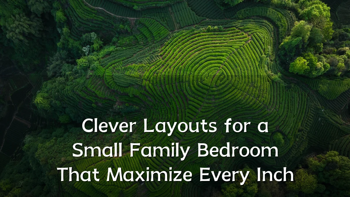 Clever Layouts for a Small Family Bedroom That Maximize Every Inch
