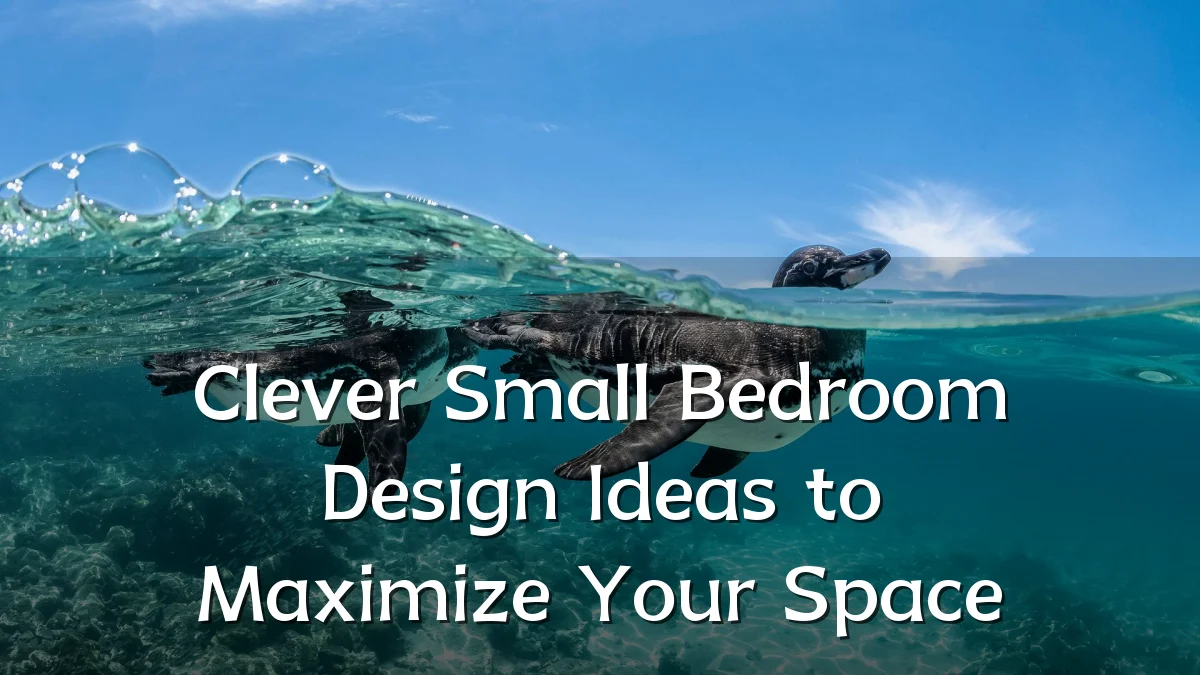 Clever Small Bedroom Design Ideas to Maximize Your Space