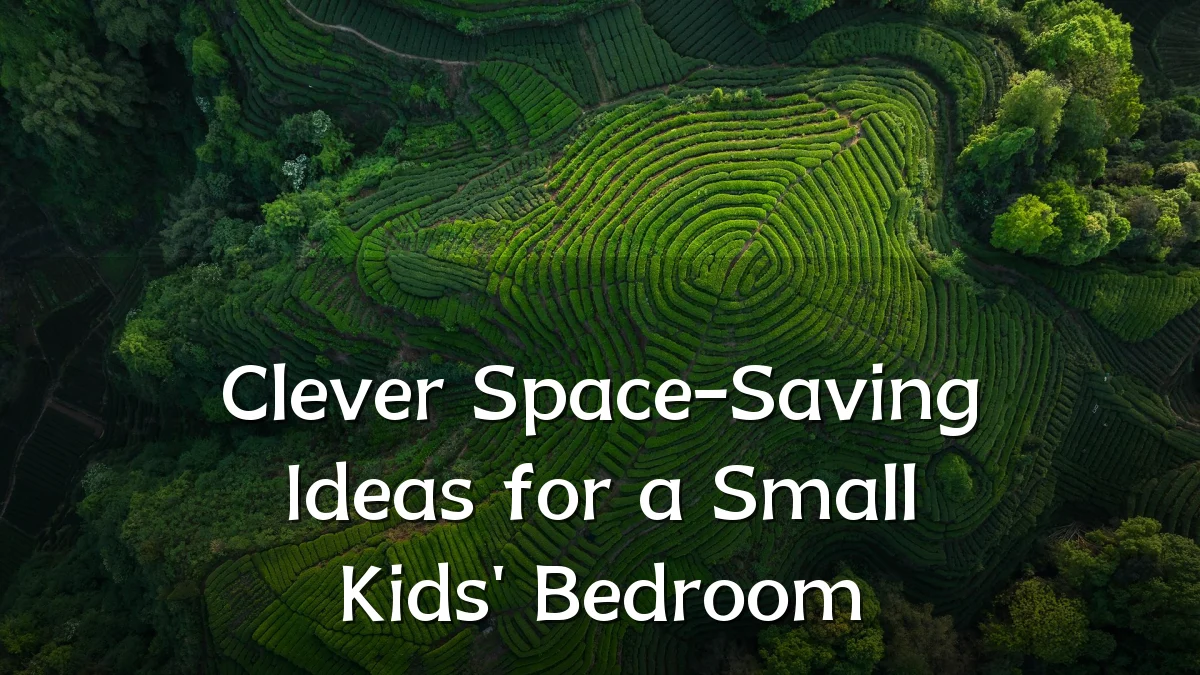 Clever Space-Saving Ideas for a Small Kids' Bedroom