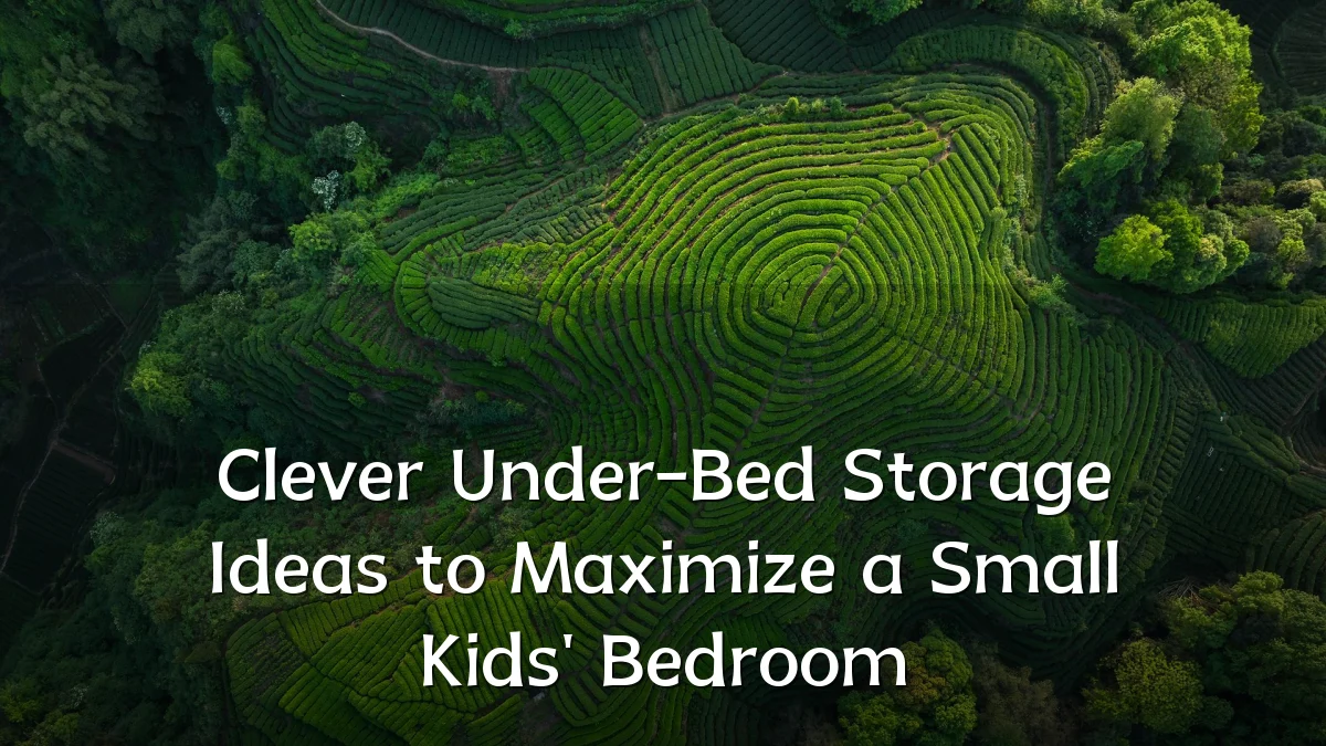 Clever Under-Bed Storage Ideas to Maximize a Small Kids' Bedroom