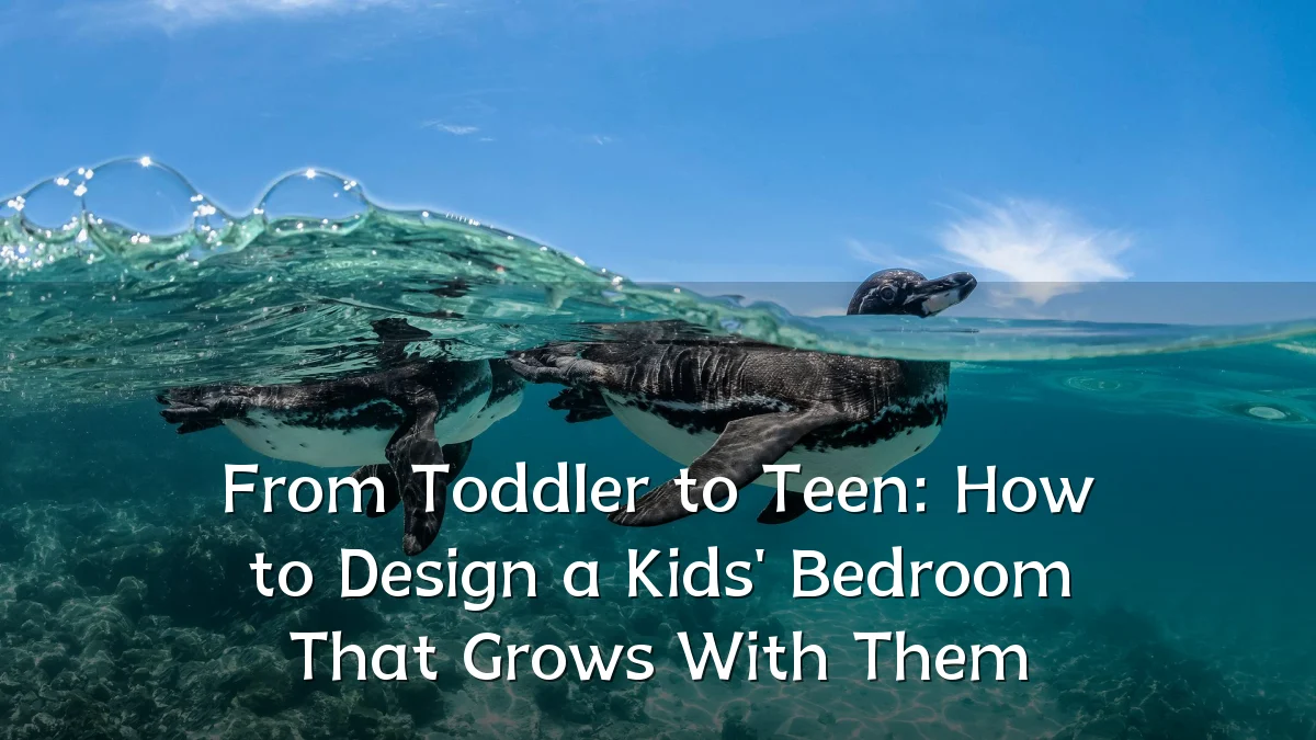 From Toddler to Teen: How to Design a Kids' Bedroom That Grows With Them