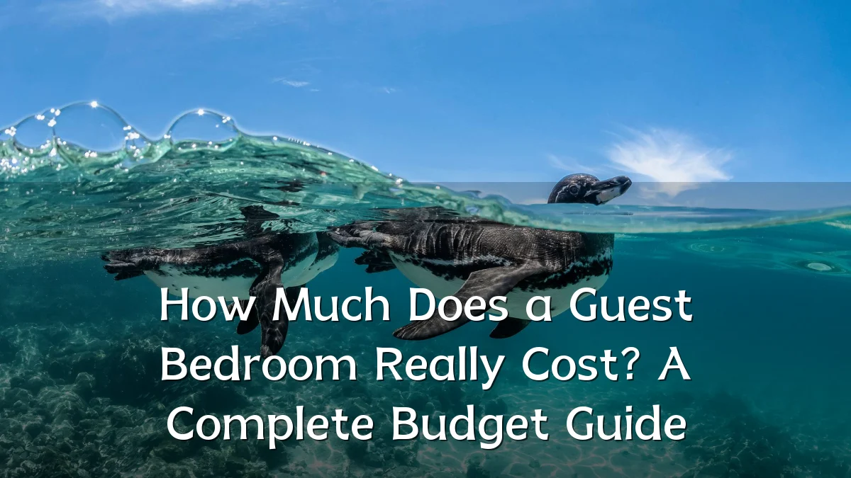 How Much Does a Guest Bedroom Really Cost? A Complete Budget Guide