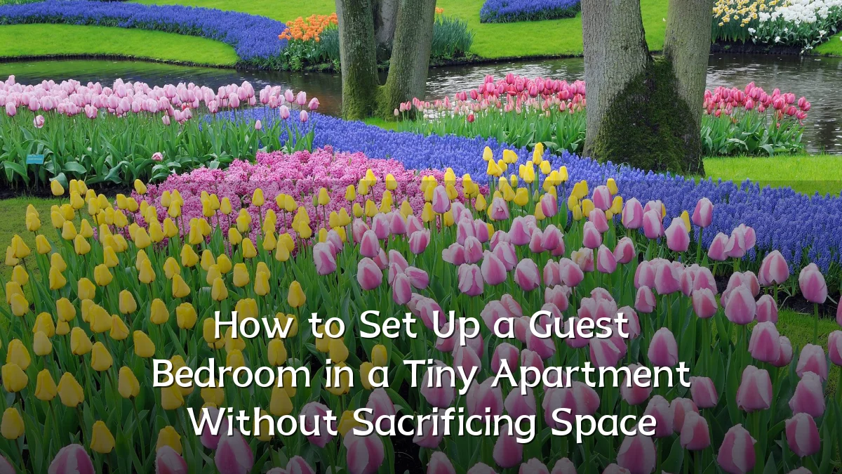 How to Set Up a Guest Bedroom in a Tiny Apartment Without Sacrificing Space