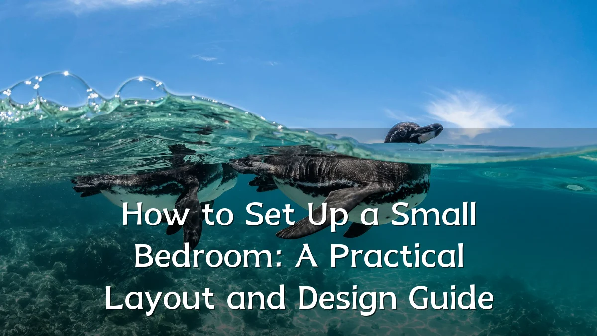 How to Set Up a Small Bedroom: A Practical Layout and Design Guide
