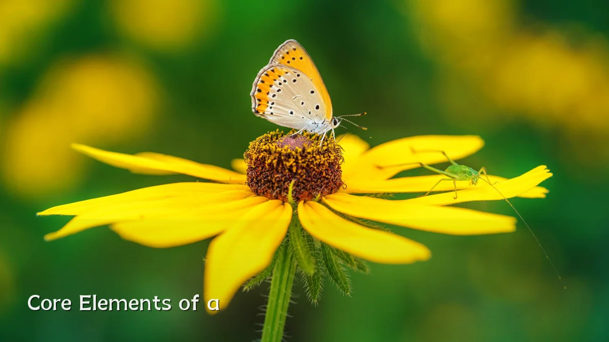 Core Elements of a