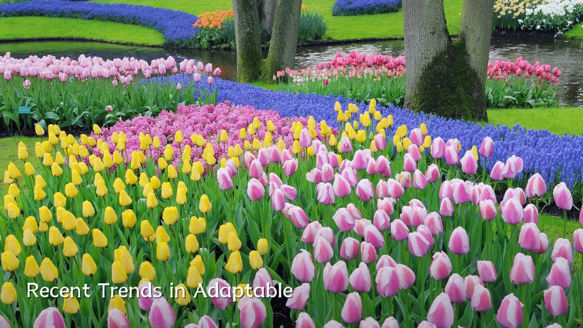 Recent Trends in Adaptable