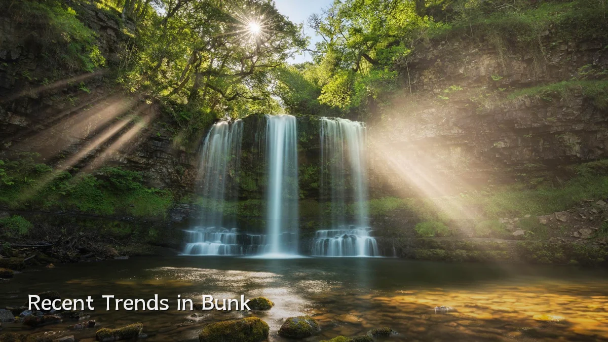 Recent Trends in Bunk