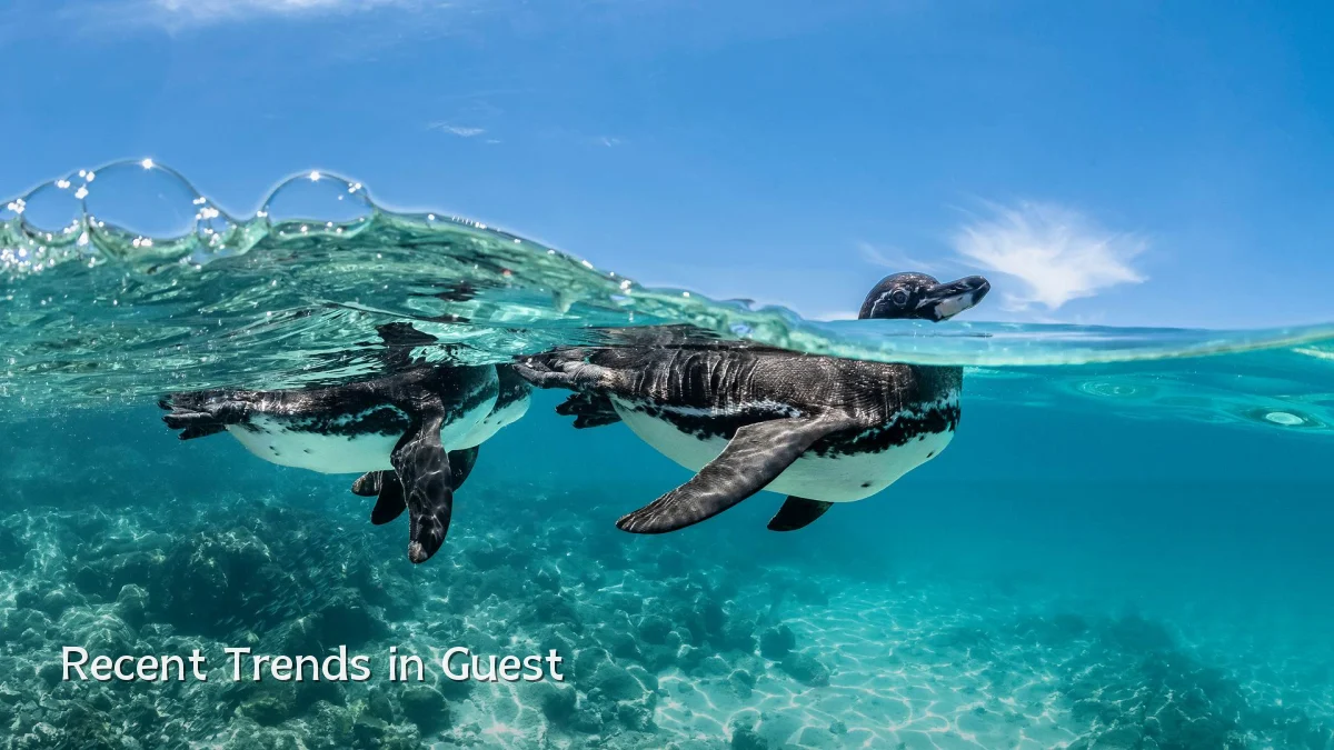 Recent Trends in Guest