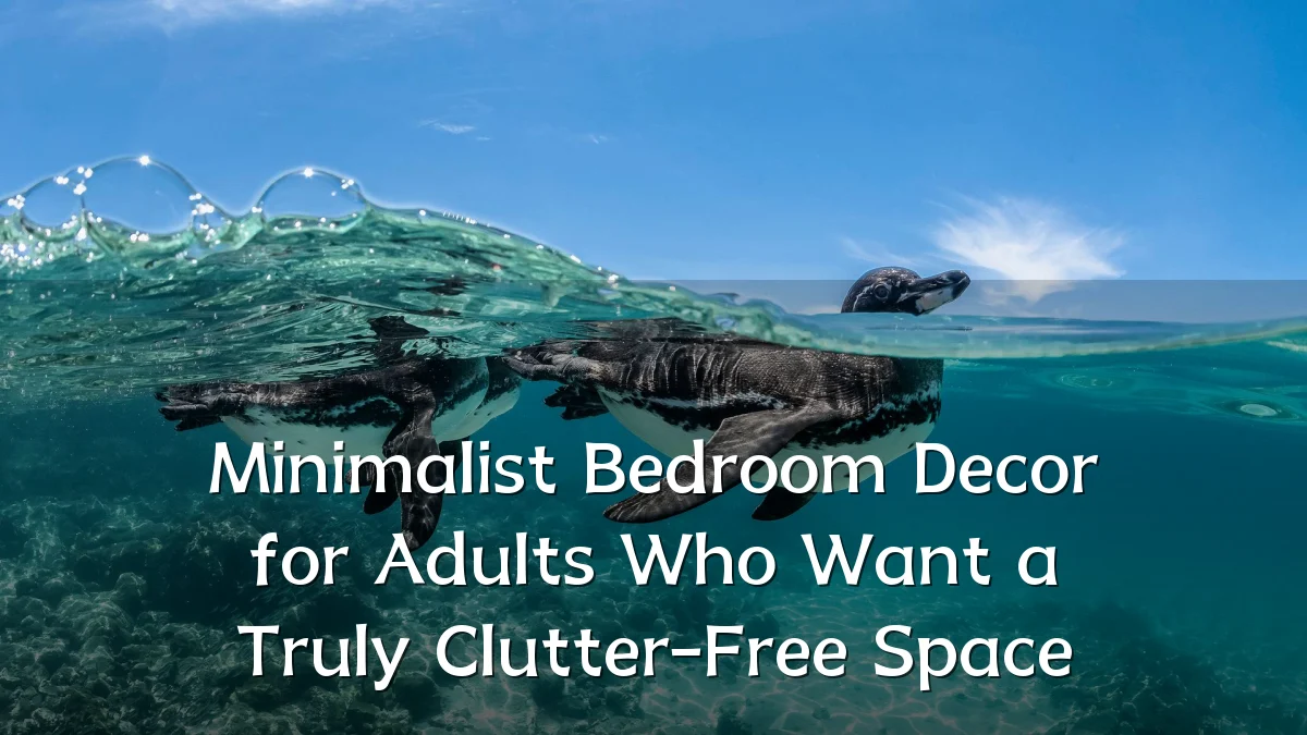 Minimalist Bedroom Decor for Adults Who Want a Truly Clutter-Free Space