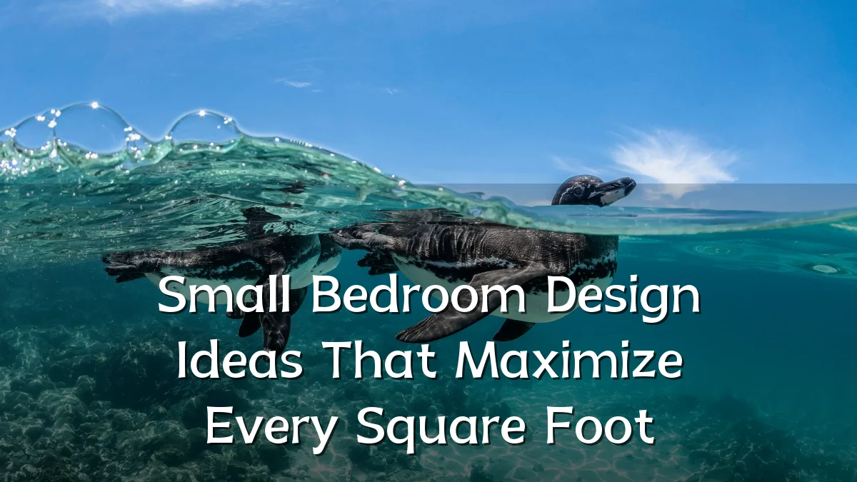 Small Bedroom Design Ideas That Maximize Every Square Foot