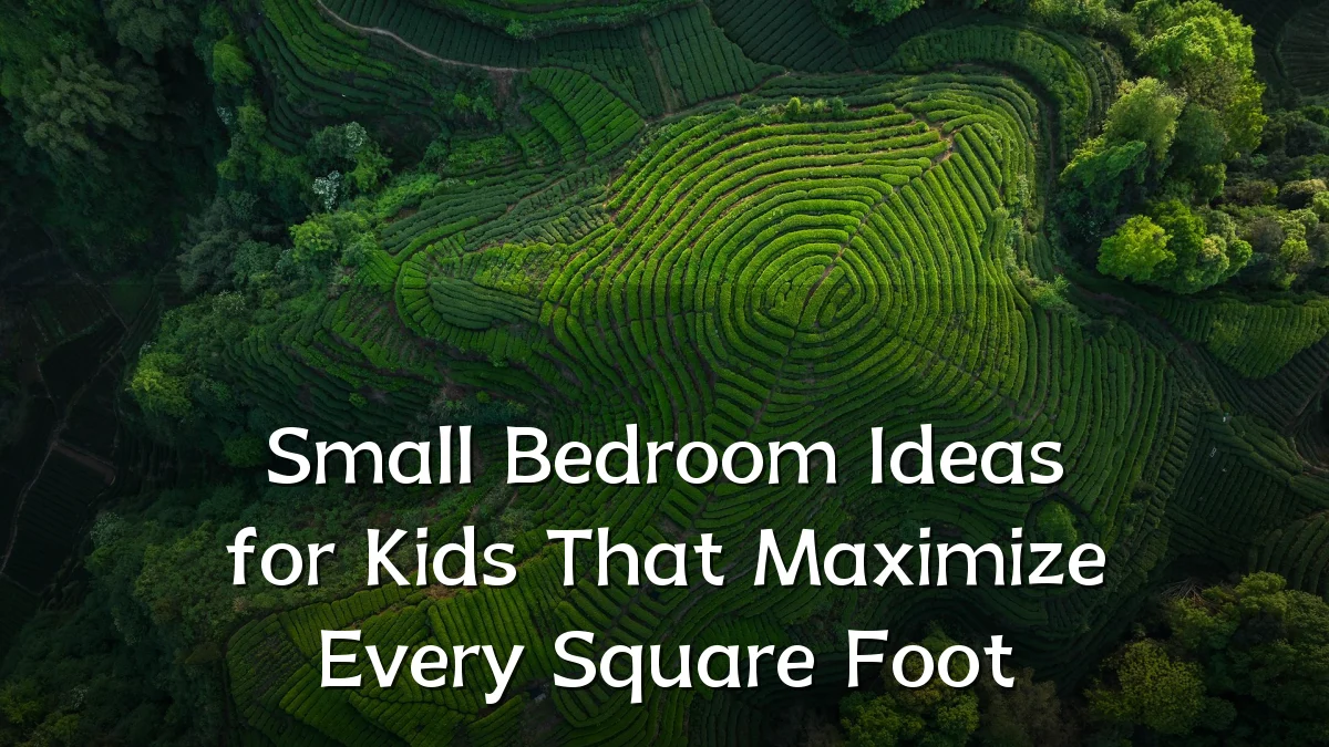 Small Bedroom Ideas for Kids That Maximize Every Square Foot