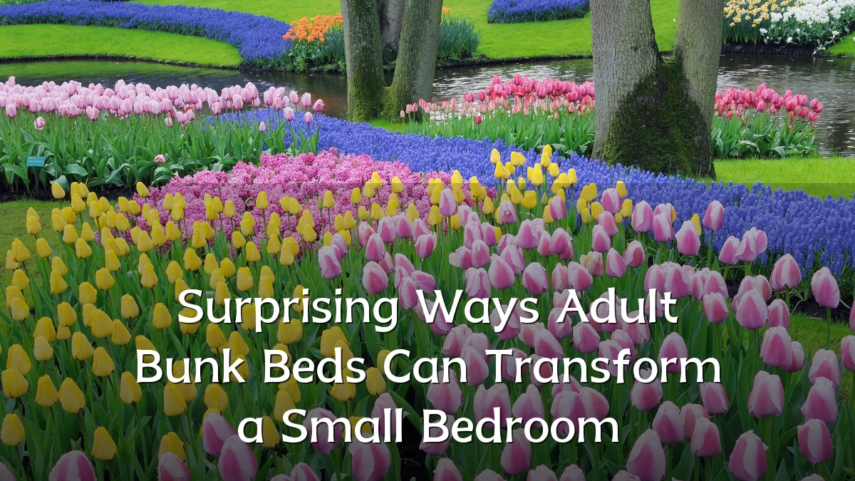 Surprising Ways Adult Bunk Beds Can Transform a Small Bedroom